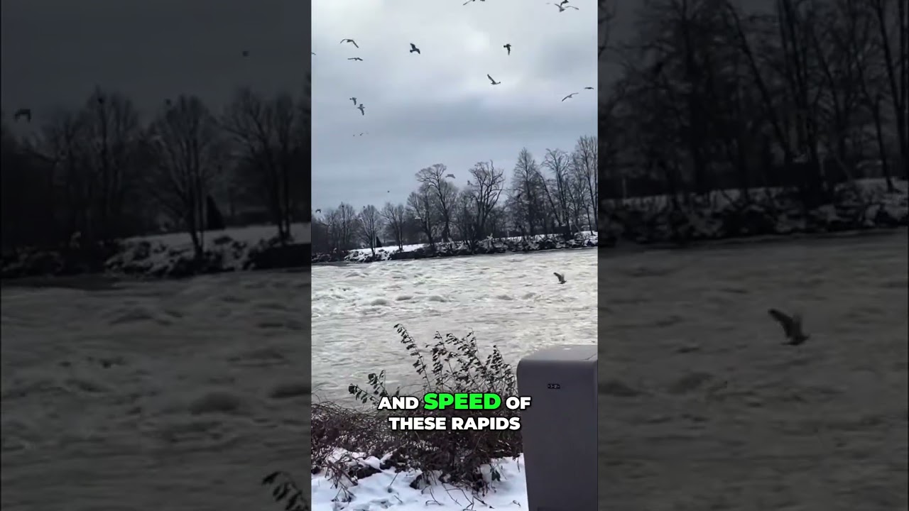 Niagara Falls River Rapids! 