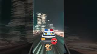 #monkey #fastcar