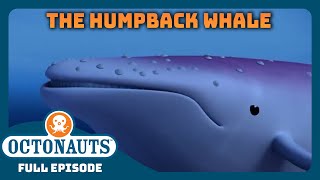 @OctonautsEpisode - Albino Humpback Whale | Full Episode 11 | Cartoons for Kids
