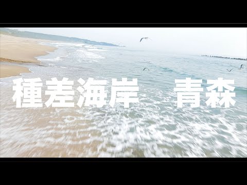 【空の旅#8】「種差海岸を飛んでいたらカモメの群れに遭遇した 」空撮・多胡光純・青森県_Aomori aerial