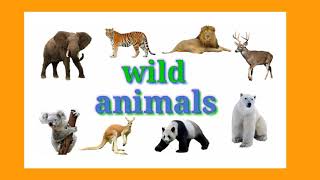 wild animals Flashcards for children