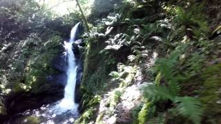 Dolgoch Falls 6 July 2017