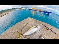 This Breakwater Is Amazing for 3ft+ Big Fish