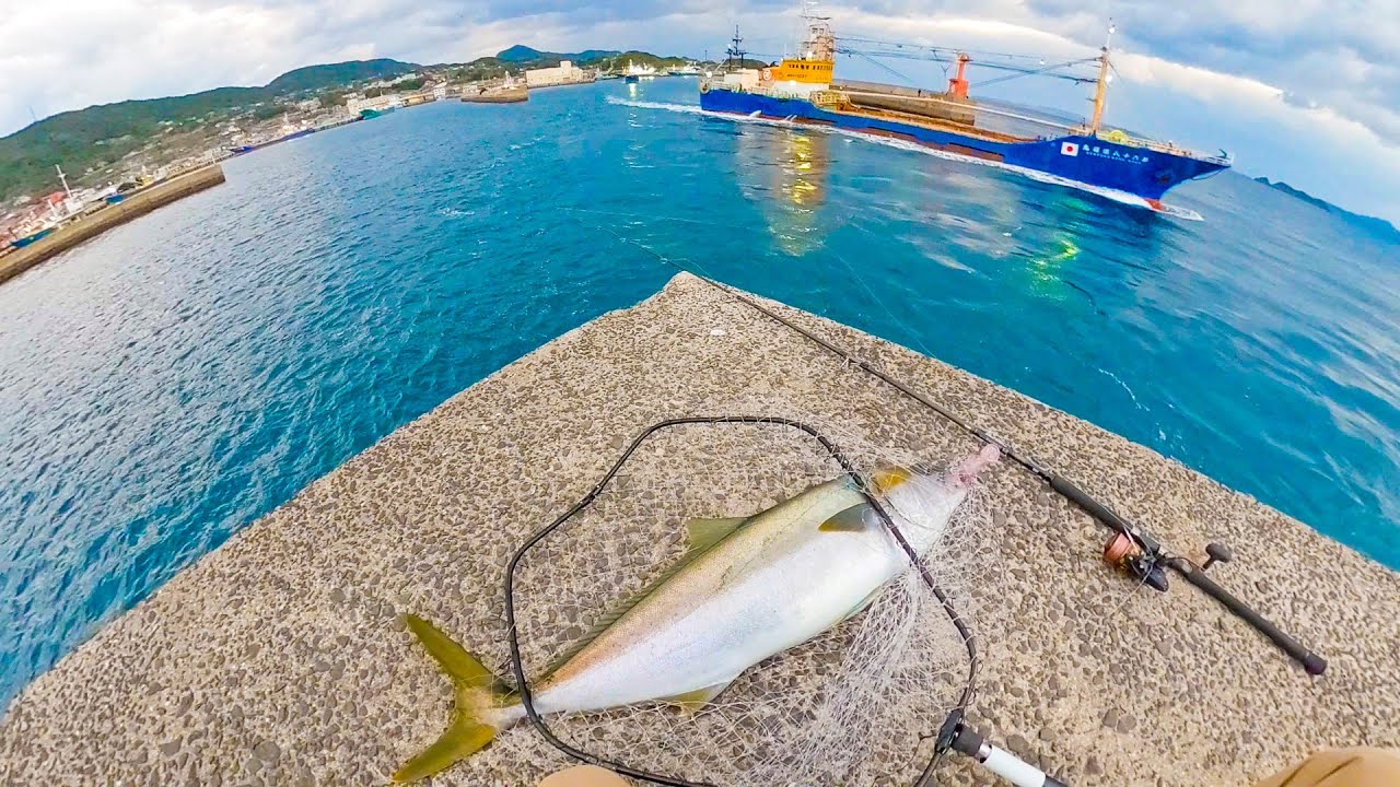 Получите 100 см amberjack