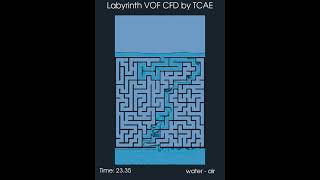 Labyrinth VOF CFD Simulation by TCAE - Ray tracing FIlter