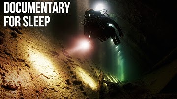 Why Ocean Creatures Become More Silent and Mysterious the Deeper You Go