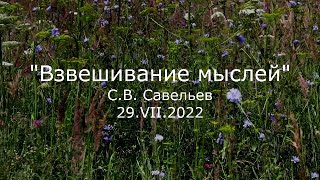 С.В. Савельев - Взвешивание мыслей