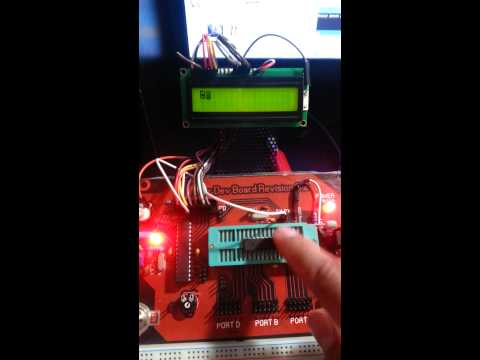 Avr Development Board