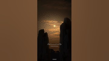 أكتب شيء تؤجر عليه ❤️‍🩹 القارئ عبدالرحمن مسعد 🎧