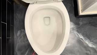 YT Second- 2023 Project Source Danville Touchless Toilet Flushes