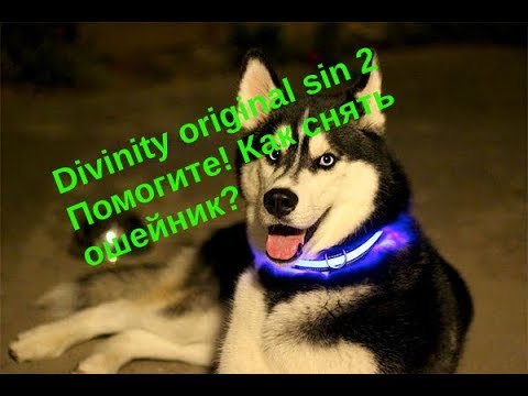 Divinity original sin 2 Помогите! Как снять ошейник?