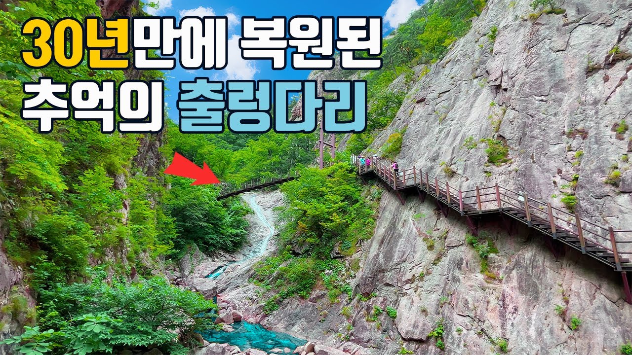 데크길 따라 걷는 폭포군락지🏔️ 45년만에 개방된 전망코스🌴대중교통 당일치기