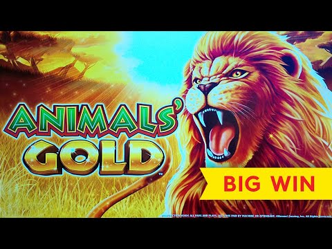 Animals' Gold Slot - WOW, WHAT A QUICK HIT!