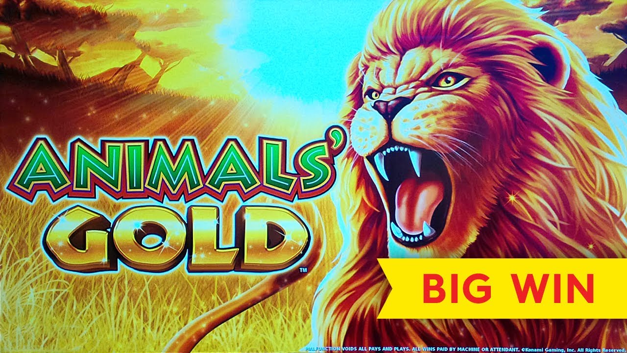 Animals' Gold Slot - WOW, WHAT A QUICK HIT! - YouTube