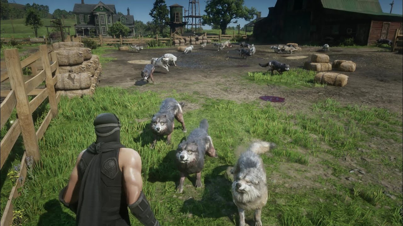 RDR2 - Hunting wolves with Ninja Gaiden - YouTube