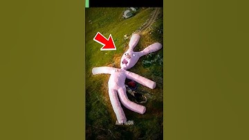 Creepy Giant Bunny EXPLAINED 😱 (decomposing) | #anyicon #shorts