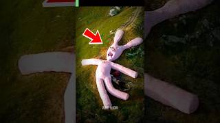 Creepy Giant Bunny EXPLAINED 😱 (decomposing) | #anyicon #shorts