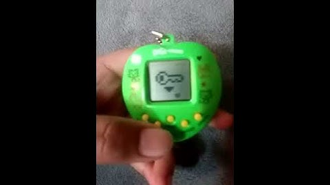 DIGI BUDDIES SECRET CODE