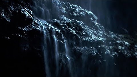 Experience filling and packaging technology (EN)