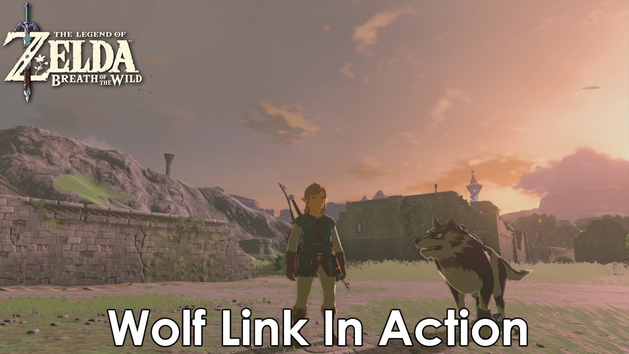 TLOZ: Breath Of The Wild - Wolf Link In Action [Wolf Link Amiibo]