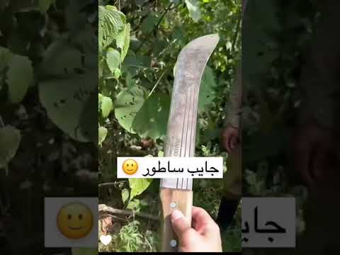 جايب ساطور معه في الغابه
