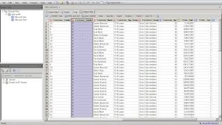 Celebrity L4  Introduction To Filter and Sort (Part2) in SAS EG Net Worth