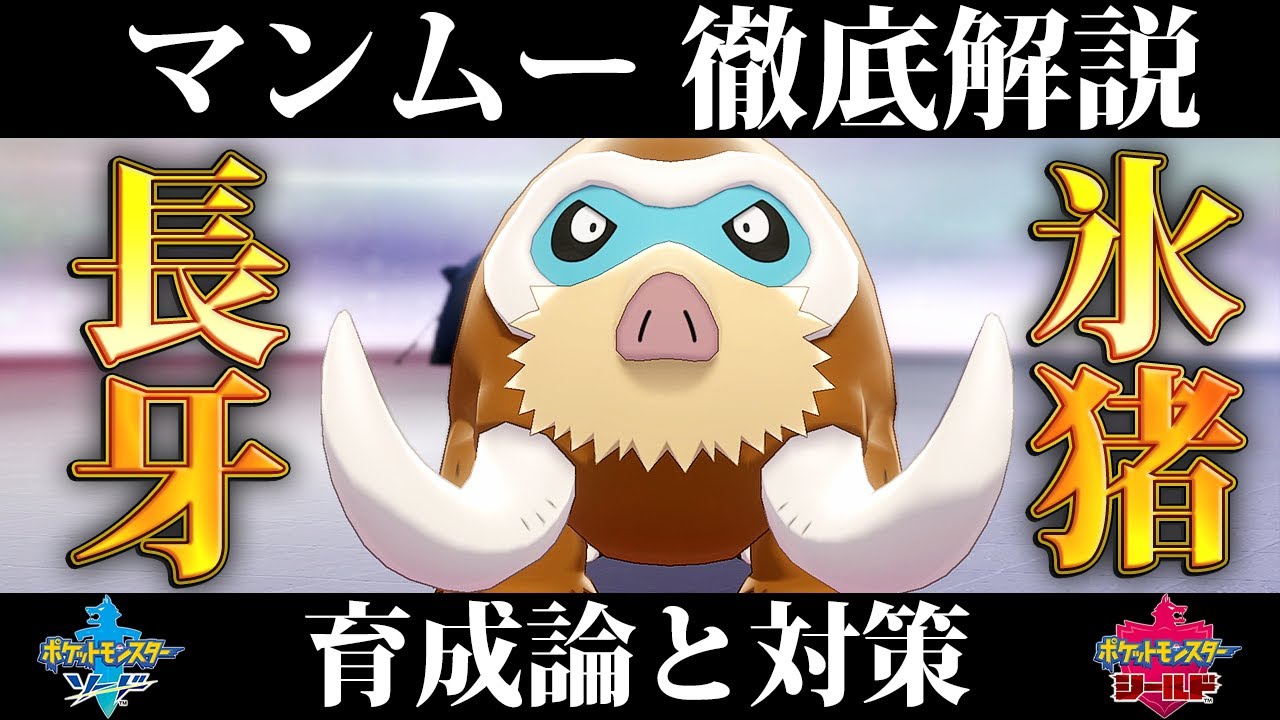 ポケモン剣盾 マンムーの育成論と対策 入手方法まとめ 性格や技構成を元プロゲーマーが徹底解説 ポケモンソードシールド Youtube