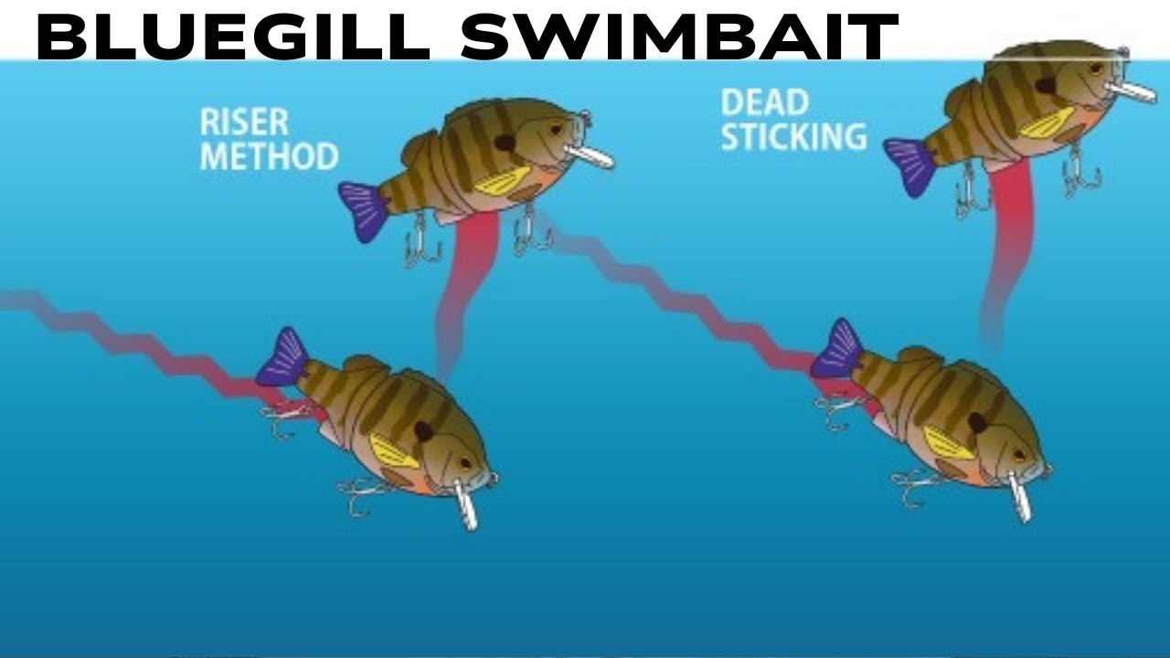 Swimbait or Crankbait? Deps Tiny BullDoze 100 Swimbait!