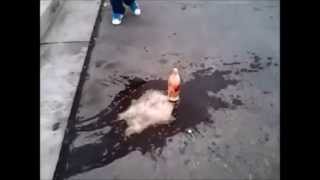 Couchman Coke & Mentos