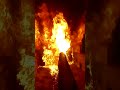 Fireproof Wood Varnish vs Fire 🔥😮‍ #shorts