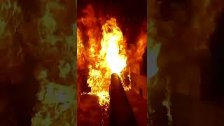 Fireproof Wood Varnish vs Fire 🔥😮‍ #shorts