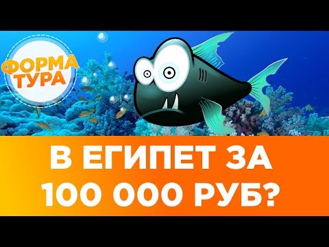 Сколько стоит тур в Египет? Россия - Египет. Когда распродажа туров