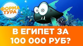 Сколько стоит тур в Египет? Россия - Египет. Когда распродажа туров