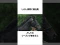 ステイゴールドに関する雑学#競馬 #shorts