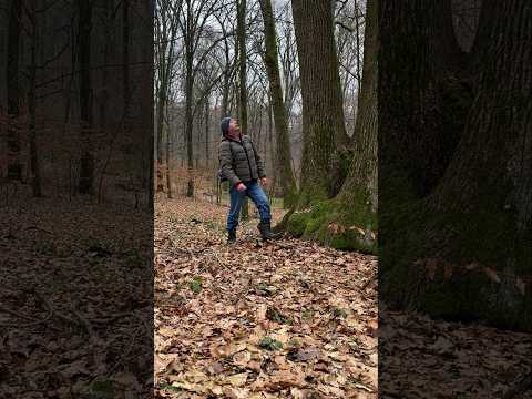 Survival Skills: DIY Vacuum Flask. #survival #camping #lifehacks #skills