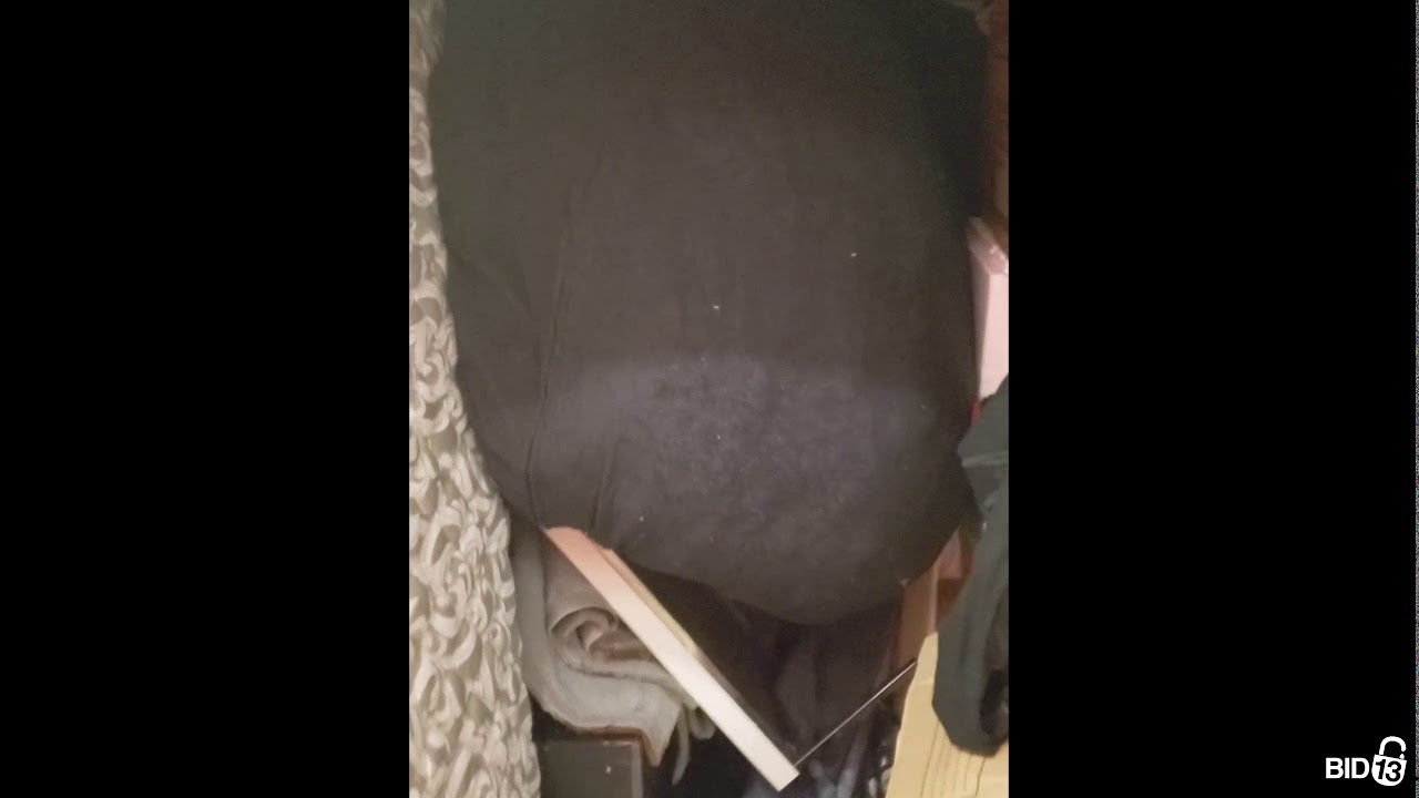 U-HAUL MOIVING AND STORAGE OF CHANTILLY - Unit 1100