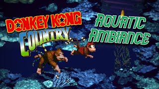 AQUATIC AMBIANCE - DONKEY KONG COUNTRY || Prog Rock/Metal Cover