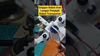 Tes Gripper Robot Transporter Double Arm capit Lengan Penjepit Robot pemindah barang dengan 4 Servo