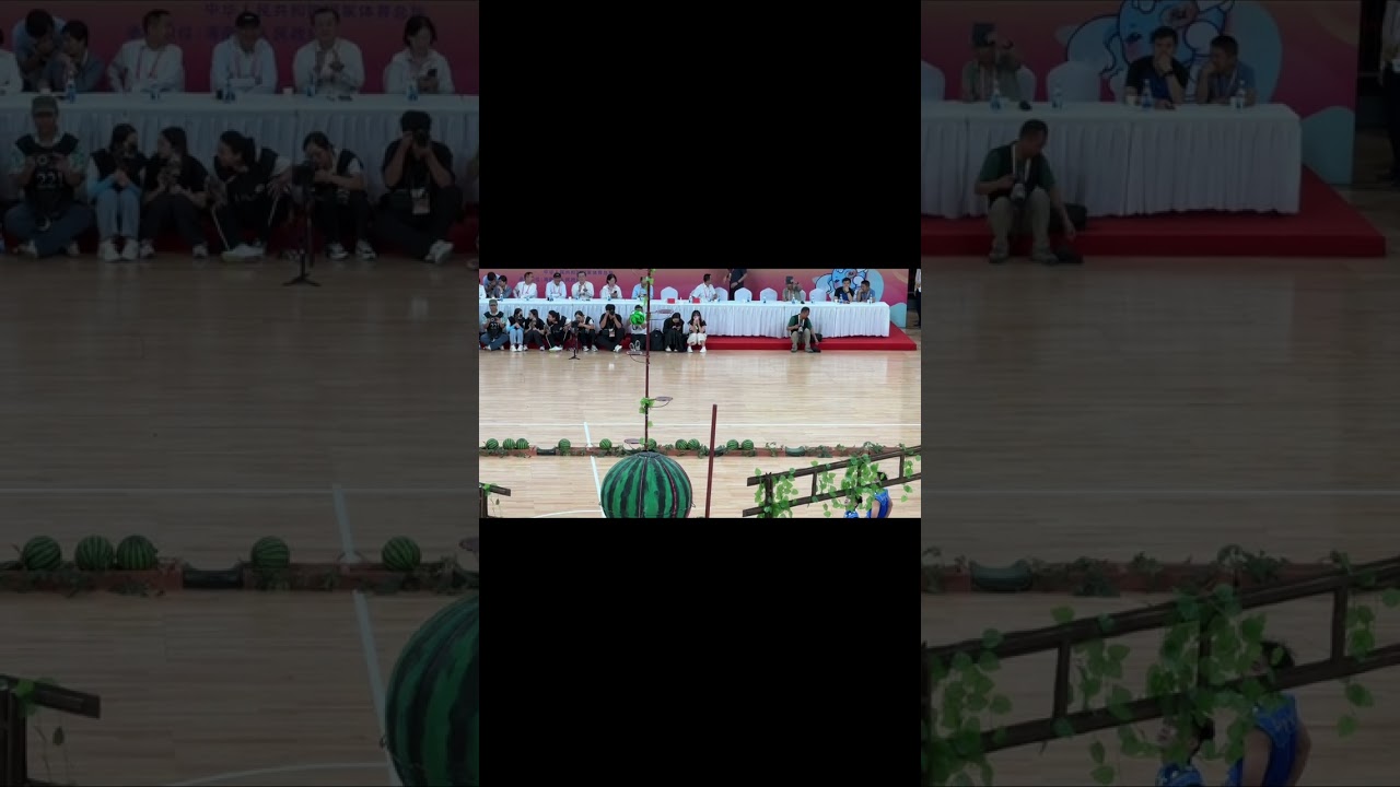 3876: Hubei team shines at ethnic sports event in China