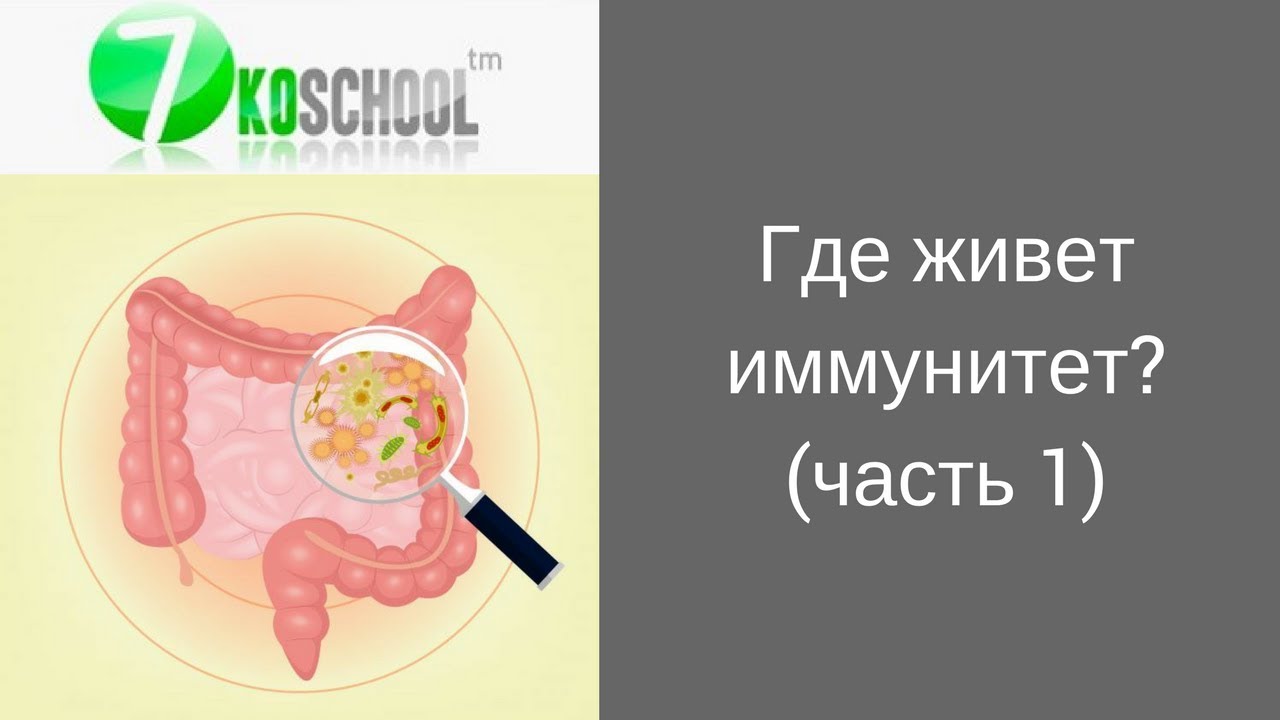 где живет иммунитет-1 - YouTube