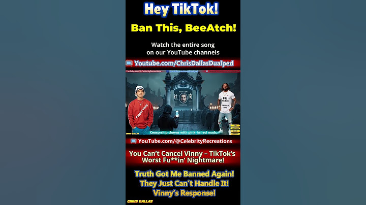 TikTok! Ban This BeeAtch! Vinny Gambini Unleashed! We Get Banned Twice! They Can't Handle The Truth!