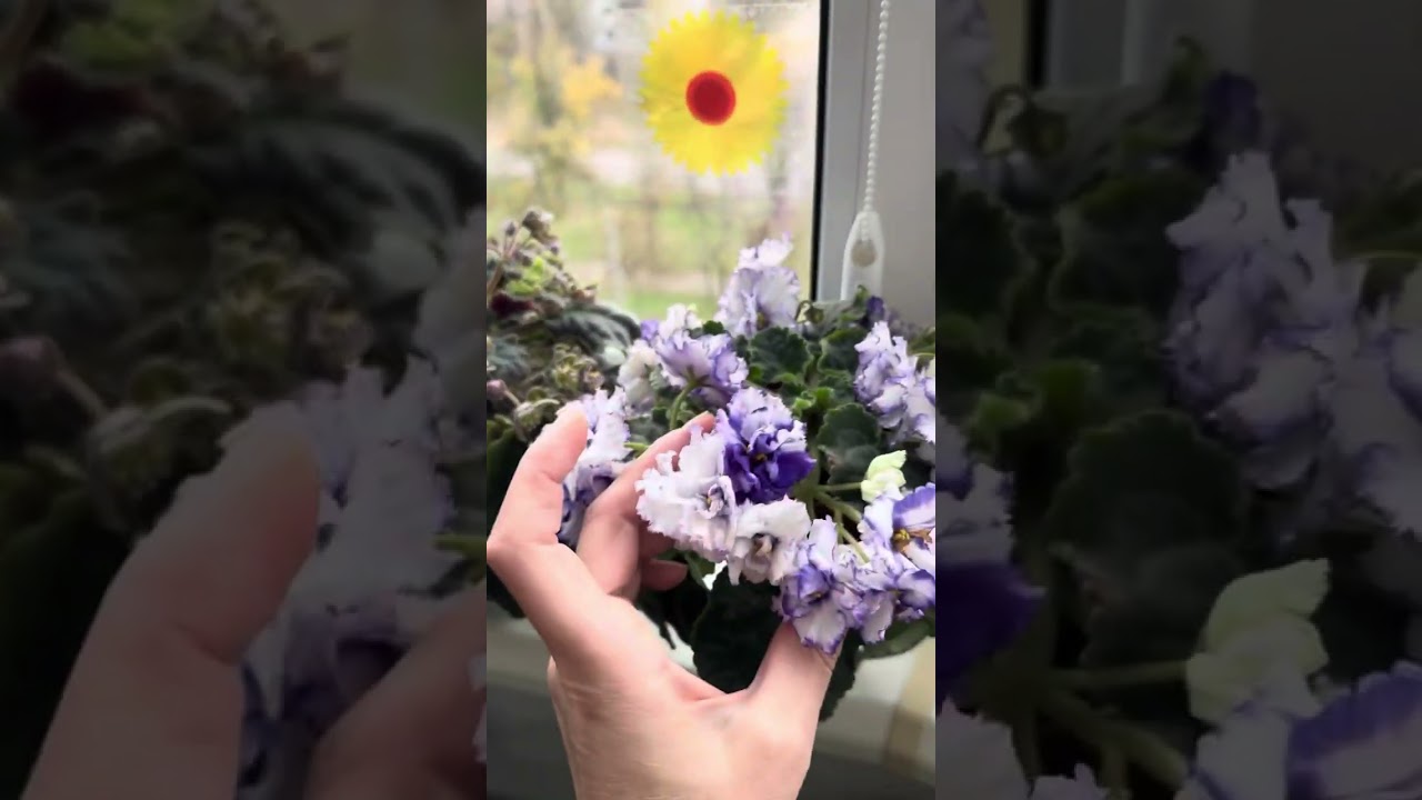 7 ноября 2025 г.