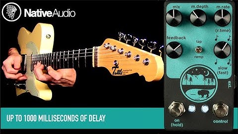 NativeAudio Wilderness V1.5 Delay