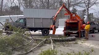 Information Utility Tree & Emergency Storm Services News