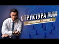 Как правильно строить структуру в млм. Принципы построения структуры в сетевом бизнесе.