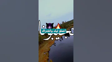 احنا بناكل بيتزا حاف علي العشاء 