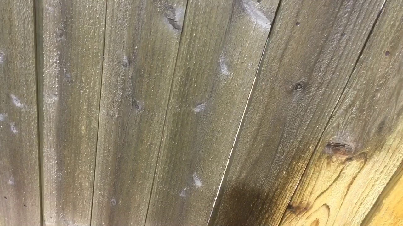 Olympic Deck Cleaner Review Weathered Wood Fence Preparation For Stain