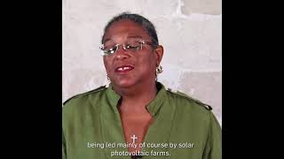 Celebrity Mia Mottley: We can't privatize profit and socialize losses Wealth