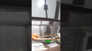 Water Heater Repair: T20 Star Wrench #shorts