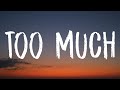 girl in red - Too Much (Lyrics)